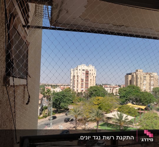 רשת מתכת מותקנת על חלון למניעת כניסת יונים
